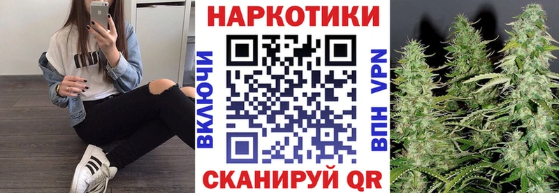 Где можно купить наркотики Светлогорск мега ONION Канабис Меф Альфа ПВП ГАШ COCAIN