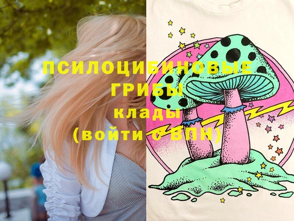 герыч Богородицк