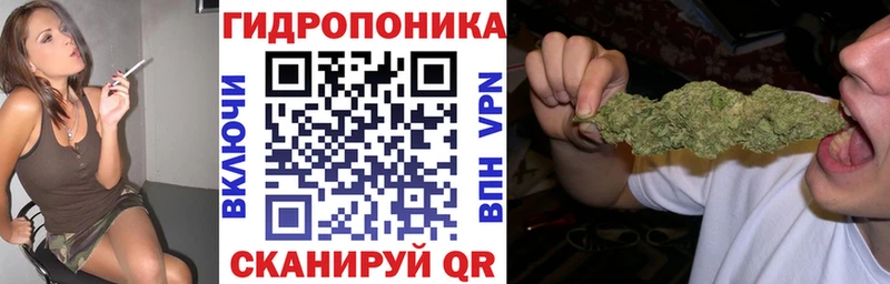 Бошки марихуана Amnesia  Светлогорск 